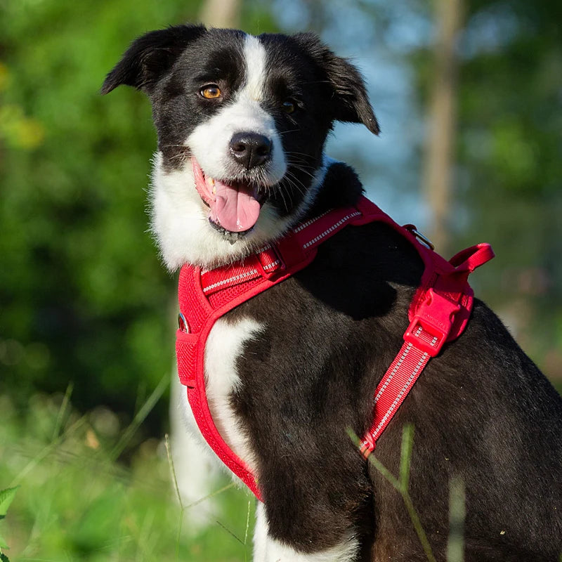 Truelove Pet Harness Big Medium Dog Chest Strap Explosion-proof Teddy Small Dog Golden Retriever Dog Designed for Outdoor Safety