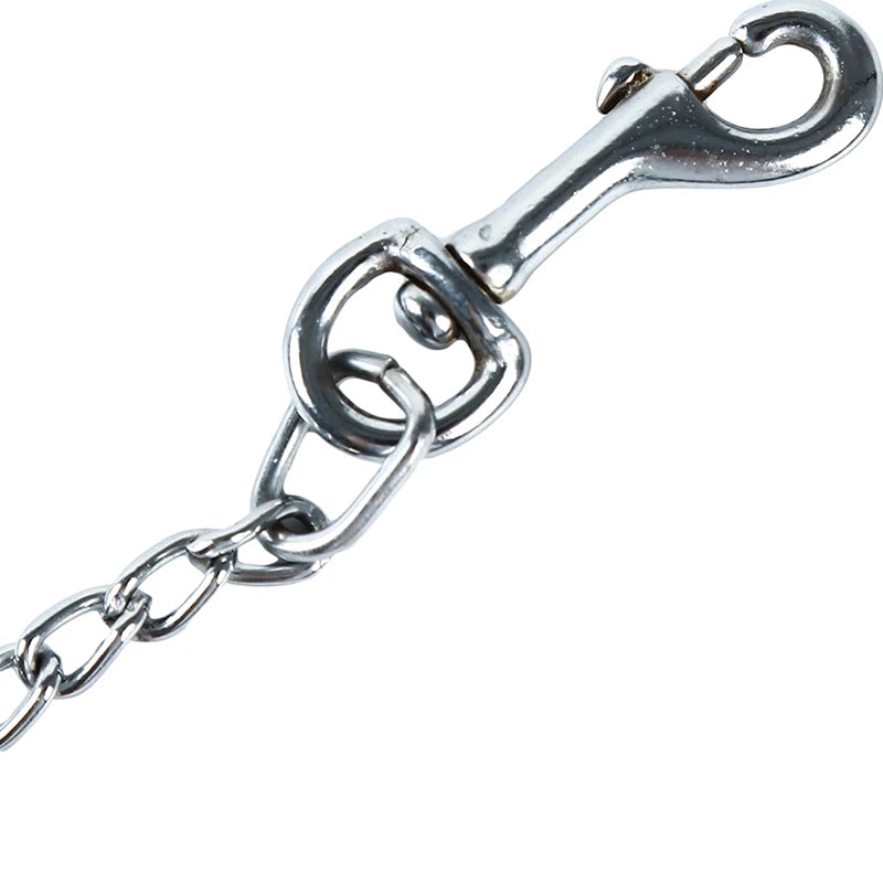 Heavy Duty Steel Chain Dog & Cat Leash