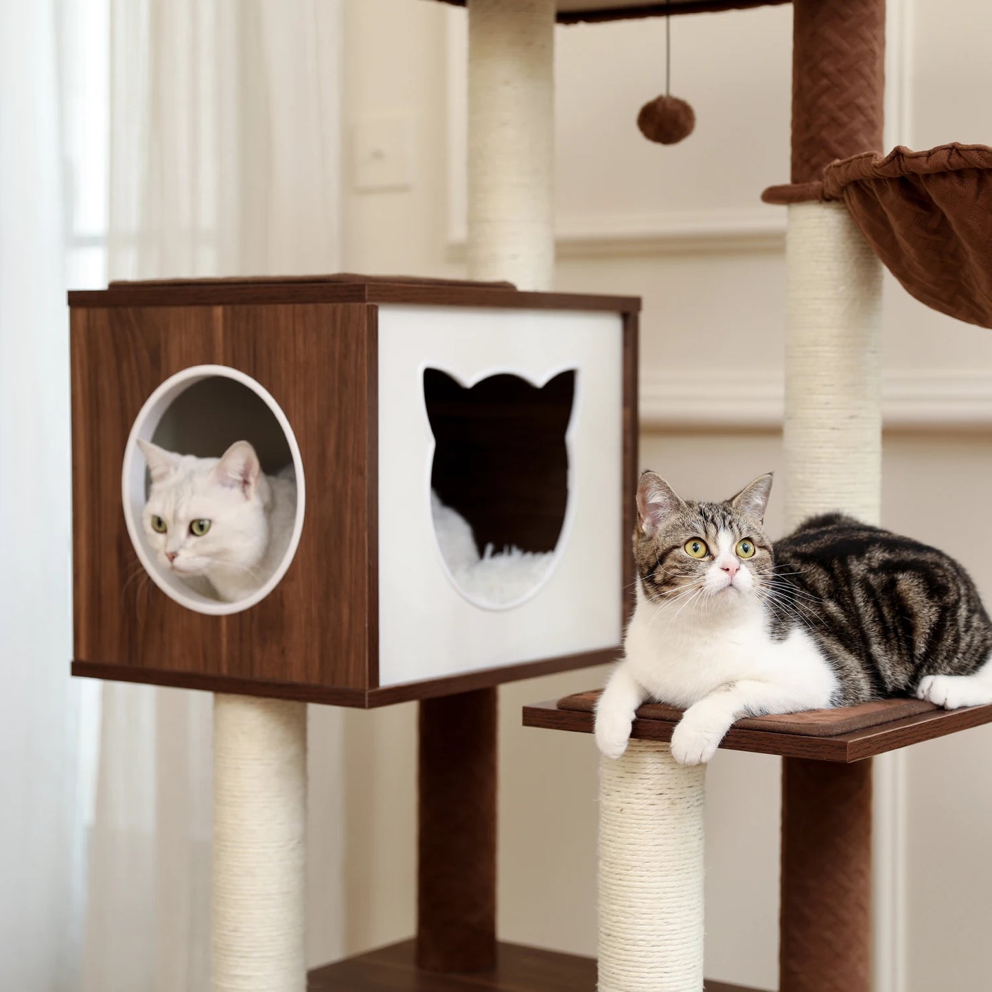 Luxury Wooden 3 Tier Cat Condo With Cabinet