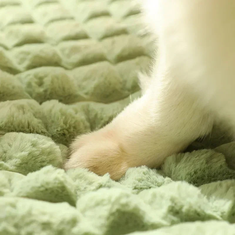 Winter Warm Dog Mat Luxury Sofa for Small Medium Dogs Plaid Bed for Cats Dogs Fluff Deep Sleeping Removable Washable Pet Beds