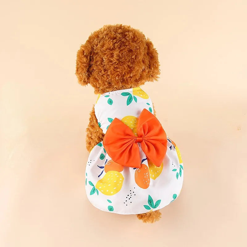 Dapper Bow Tie Dog/ Cat Multi Patterned Sun Dress