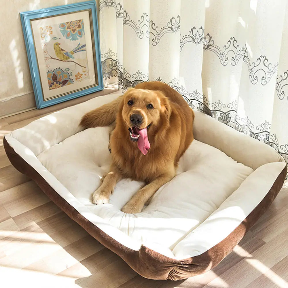 Large Plush Cushioned Plush Dog Bed