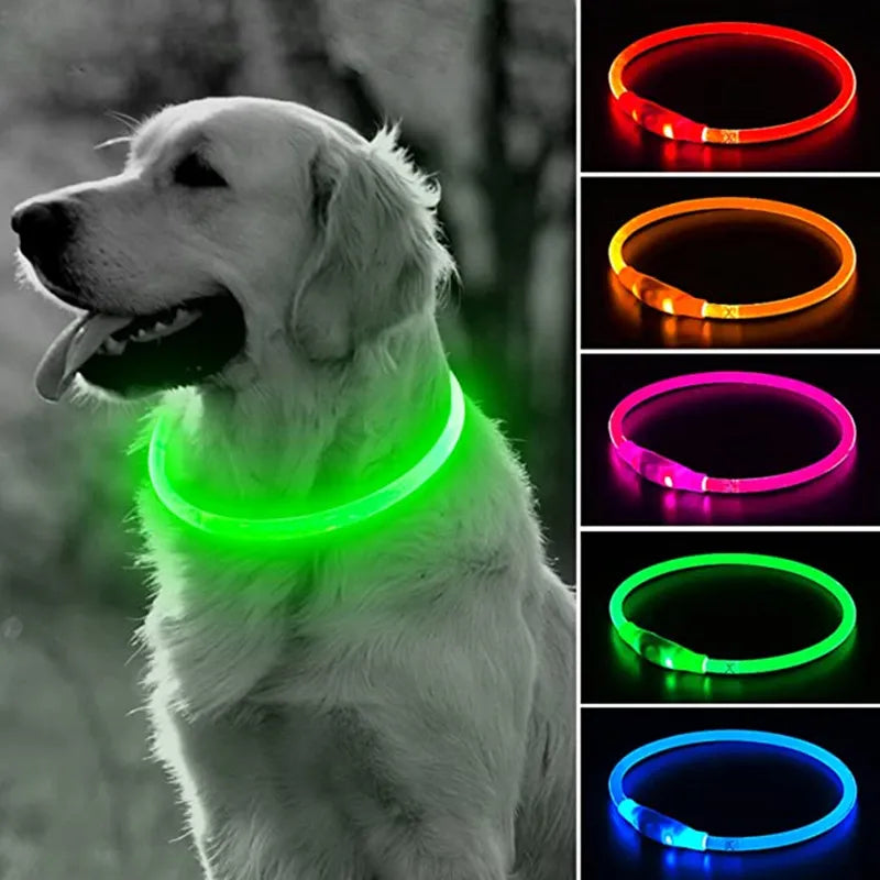 Glowing Chargeable Light Up Multi Colored Dog & Cat Collar