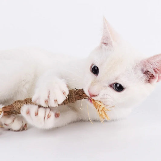 Natural Stimulating Catnip Silver Vine Hemp Lafitte and Sisal Cat Chew Sticks