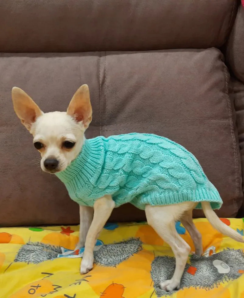 Wool Pattern Knitted Turtleneck Dog & Cat Multi Color Sweater