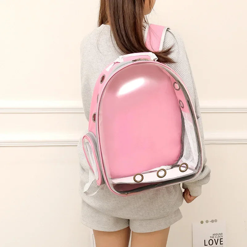 Colored Transparent Hard Shell Cat Carrier Backpack