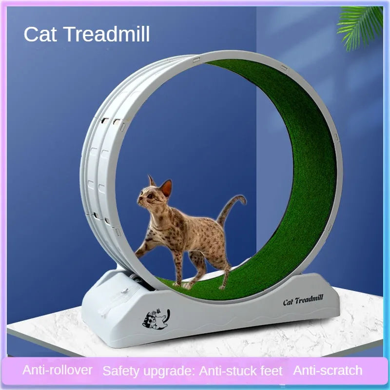 Silent Roller Cat Treadmill Pet Furniture Anti-stuck Feet Fitness Cat Running Wheel Plastic Pet Cat Treadmill