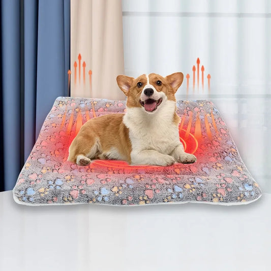 Thick Cushioned Coral Flannel Dog Mat