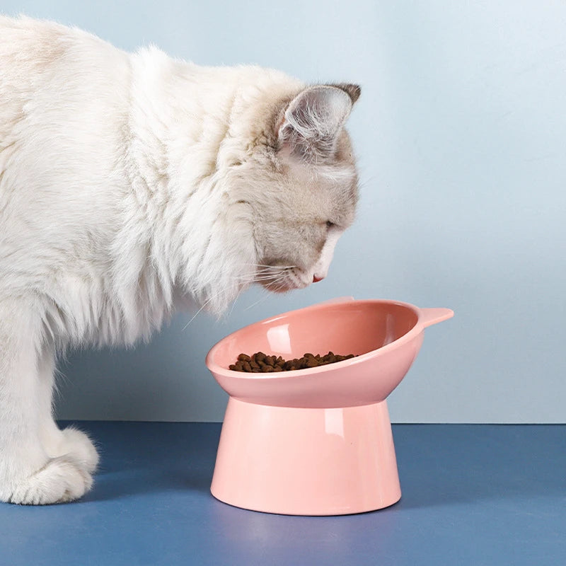 2PCS High Rising Cat Bowls