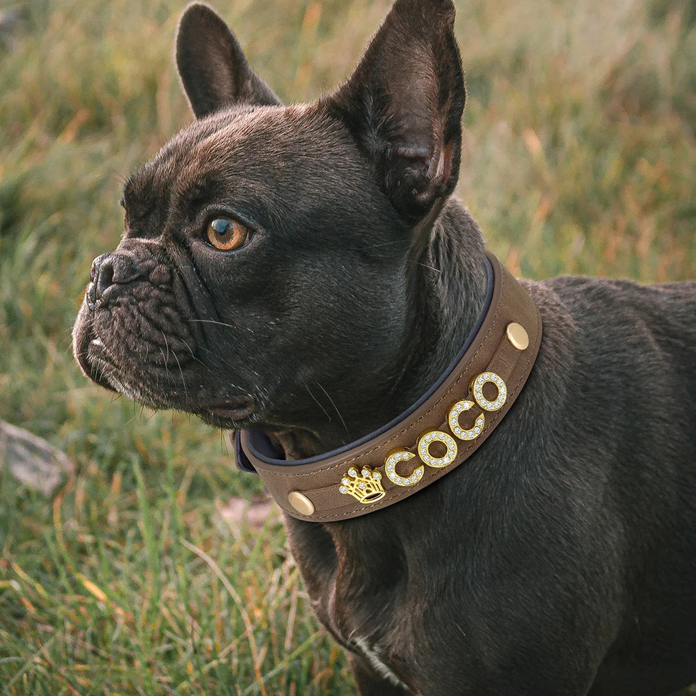 Gold Rhinestone  Custom Name & Charm Faux Leather Dog & Cat Pet Collar