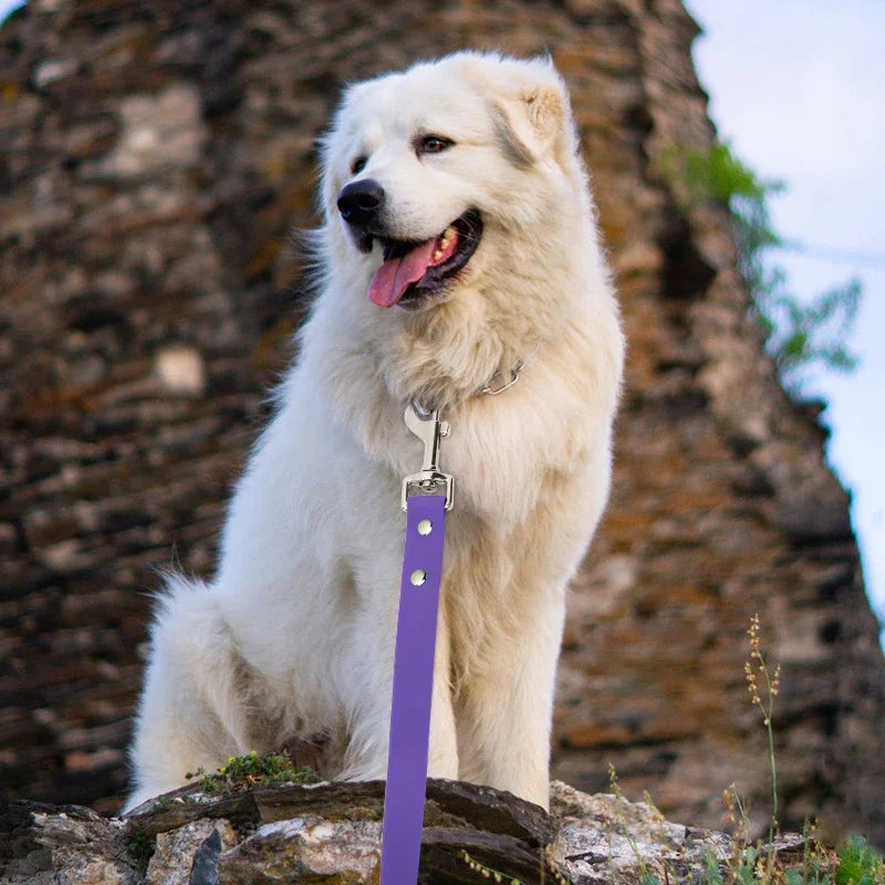 Waterproof Dog Leash Long Pvc Pet Leashes Easy To Clean Rope for Small Medium Large Big Dogs Walking Traning Lead Pet Supplies