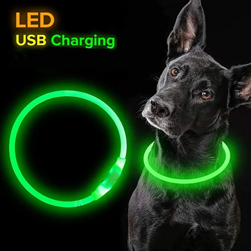 Glowing Chargeable Light Up Multi Colored Dog & Cat Collar