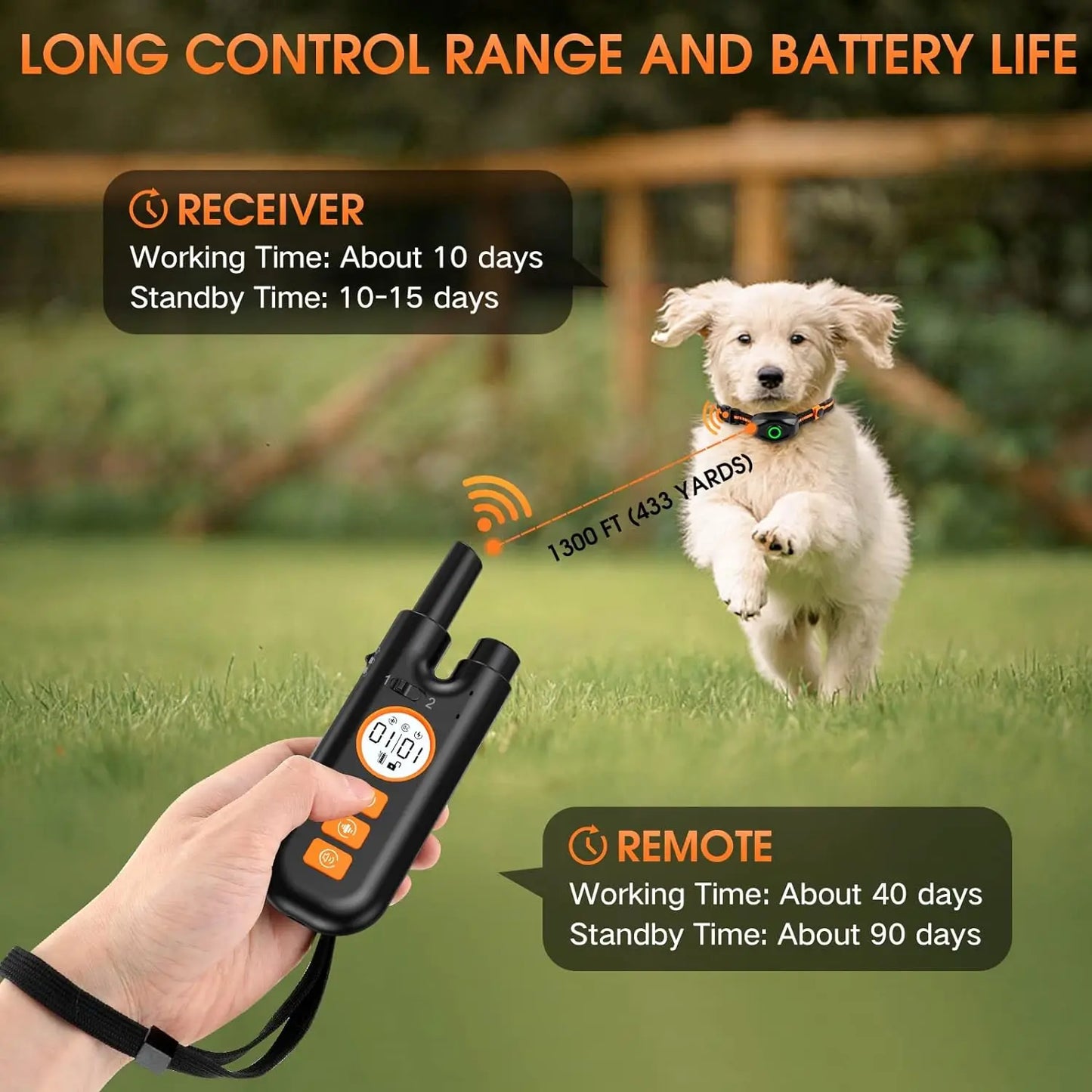 Safe Dog Training Adjustable Shock Dog Collar