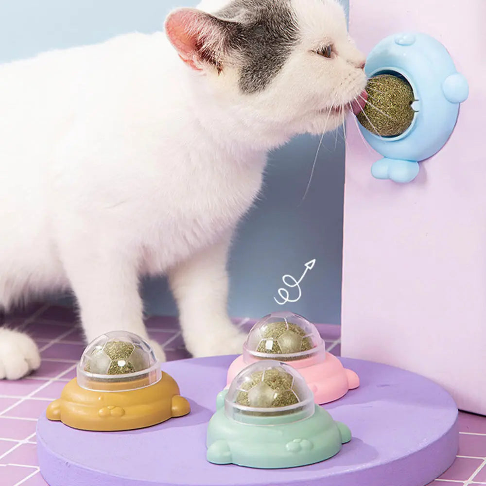 Animal Shaped Rotating Catnip Wall Ball Mount