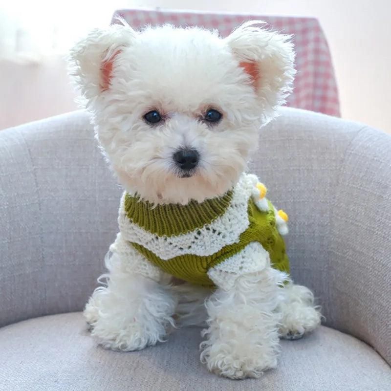 Dog Cute Sweater Warm Pet Sweater Knitted Flowers Blossoming Dog Sweaters For Dogs
