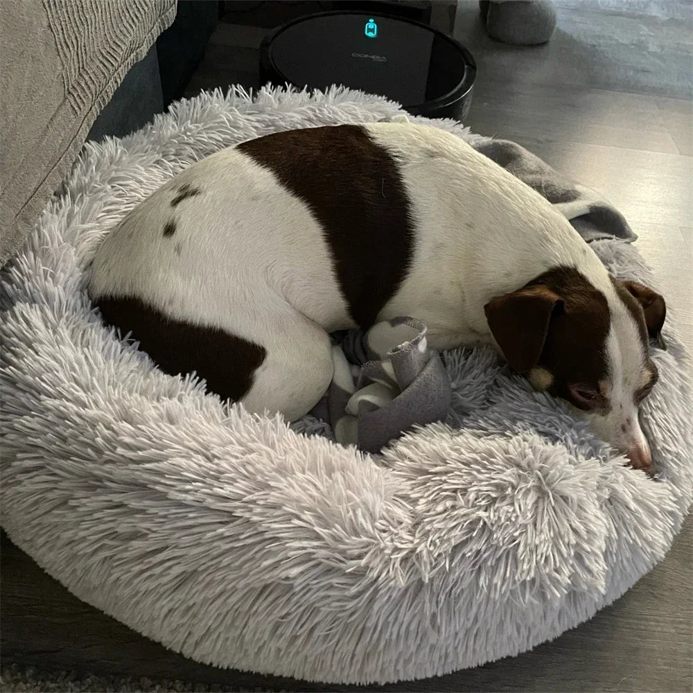 Plush Faux Fur Dog/ Cat Bed