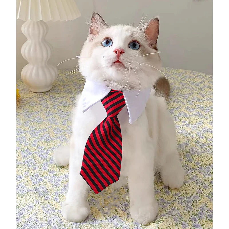 Formal Business Collar And Tie For Pets