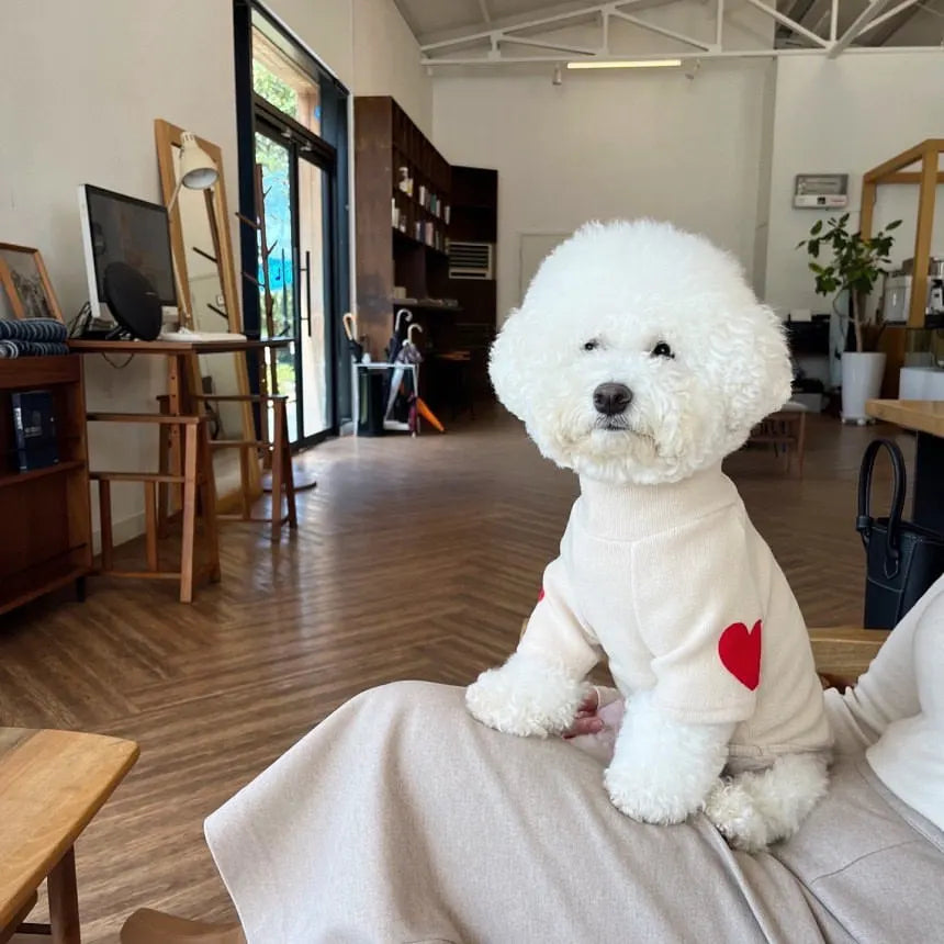 Red Heart Wool Winter Turtleneck Dog & Cat Sweater