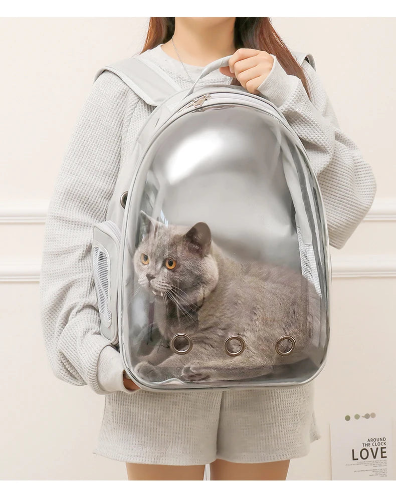 Colored Transparent Hard Shell Cat Carrier Backpack