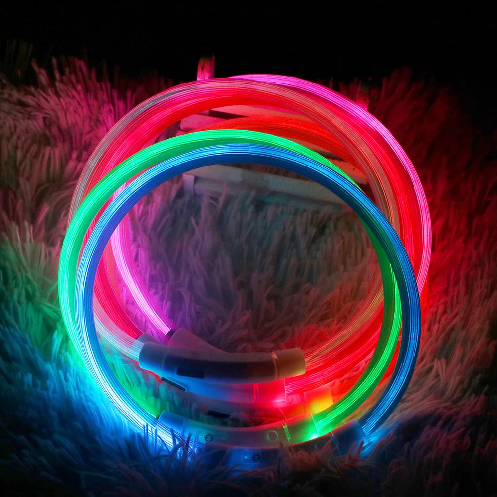 Glowing Chargeable Light Up Multi Colored Dog & Cat Collar