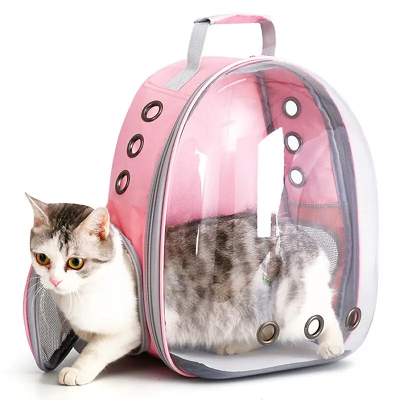 Bubble Transparent Window Cat Carrier Backpack