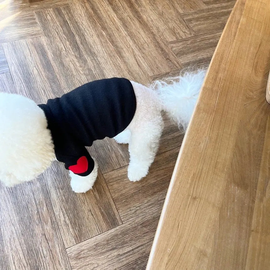 Red Heart Wool Winter Turtleneck Dog & Cat Sweater