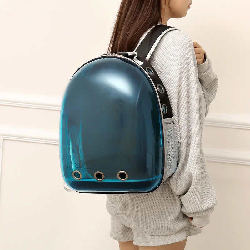 Colored Transparent Hard Shell Cat Carrier Backpack