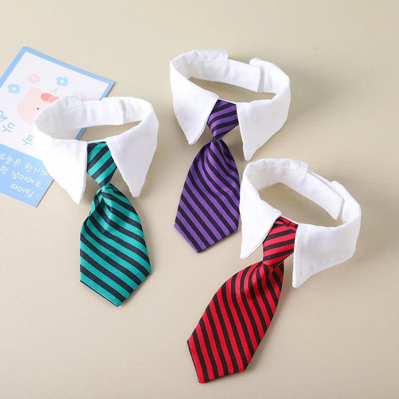 Formal Business Collar And Tie For Pets